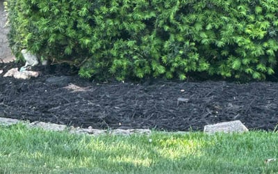 Photo of Ralph B.'s yard after getting landscaping in Davenport, IA
