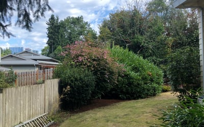 Photo of Gina G.'s yard after getting landscaping in North Lakewood, WA