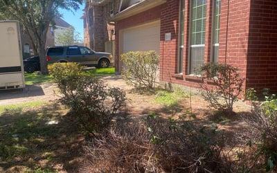 Photo of Lisa W.'s yard after getting landscaping in Hardin, TX