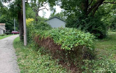 Photo of Michael M.'s yard after getting landscaping in Alexandria, KY