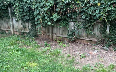 Photo of Katherine H.'s yard after getting tree care in Ballwin, MO