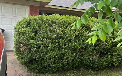 Photo of Timothy B.'s yard after getting landscaping in Alvord, TX