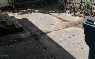 Photo of David A.'s yard after getting landscaping in Lansing, MI
