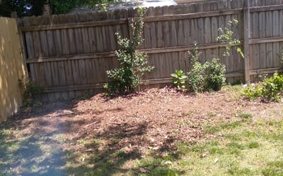 Photo of Christopher R.'s yard after getting landscaping in Coinjock, NC