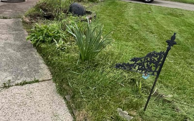 Photo of Brandon B.'s yard after getting tree care in Dayton, OH