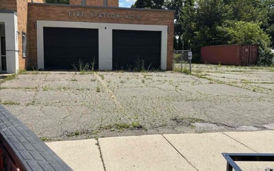 Photo of Adam E.'s yard after getting landscaping in Lansing, MI