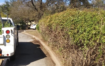 Photo of Greg H.'s yard after getting landscaping in Coupland, TX