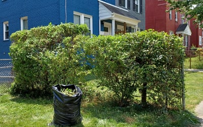 Photo of Dorothy S.'s yard after getting landscaping in Aquasco, MD