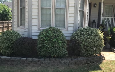 Photo of Shannon M.'s yard after getting landscaping in Pell City, AL