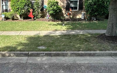 Photo of Kimberly B.'s yard after getting landscaping in Cordova, TN