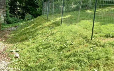 Photo of Brittany S.'s yard after getting landscaping in Atlanta, GA