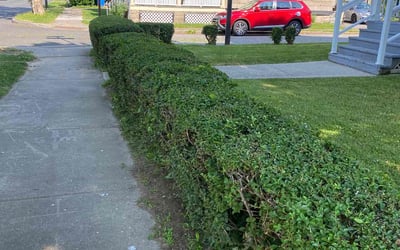 Photo of Carol H.'s yard after getting landscaping in Hilton, NY