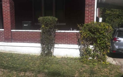 Photo of Carlenea K.'s yard after getting landscaping in Butler, KY