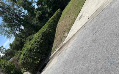 Photo of Ronald M.'s yard after getting landscaping in Orange Park, FL