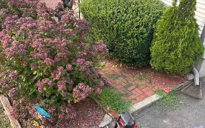 Photo of Stephanie M.'s yard after getting landscaping in Bethel, CT