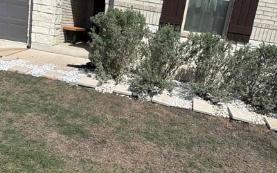 Photo of Elizabeth O.'s yard after getting landscaping in Bastrop, TX