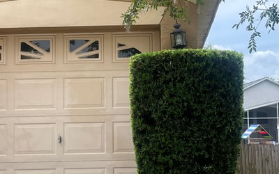 Photo of David R.'s yard after getting landscaping in Sydney, FL