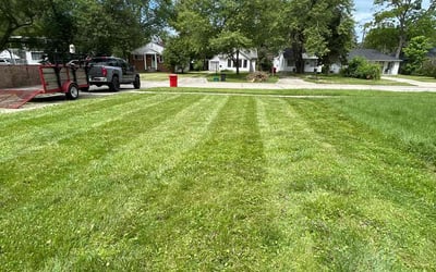 Photo of Kelsey M.'s yard after getting landscaping in Lake Orion, MI