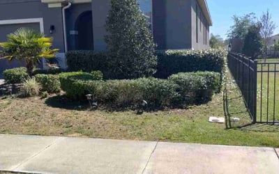 Photo of Adam L.'s yard after getting landscaping in Paisley, FL