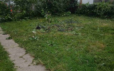 Photo of Lori S.'s yard after getting landscaping in Belleville, IL