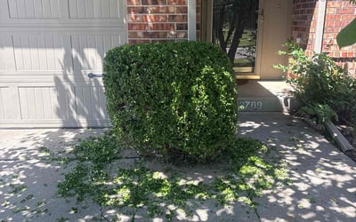 Photo of Kim H.'s yard after getting landscaping in Norman, OK