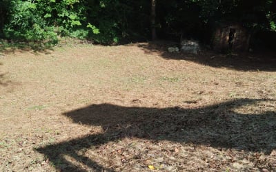 Photo of Daniela T.'s yard after getting landscaping in Bowdon, GA