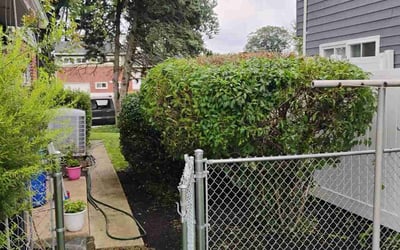 Photo of Robert H.'s yard after getting landscaping in Catonsville, MD