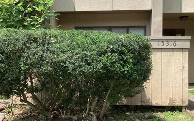 Photo of Tabitha R.'s yard after getting tree care in Reston, VA