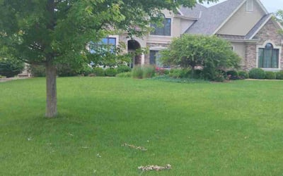 Photo of Cathy C.'s yard after getting lawn care in New Berlin, WI