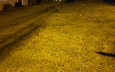 Photo of Brittany S.'s yard after getting landscaping in Blairstown, NJ