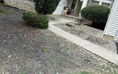 Photo of Deborah H.'s yard after getting landscaping in Lewis Center, OH