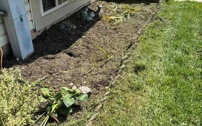 Photo of Donna J.'s yard after getting tree care in Westminster, MD