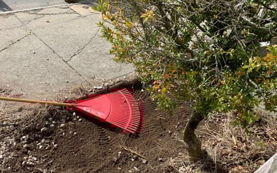 Photo of David O.'s yard after getting landscaping in Mansfield, MA
