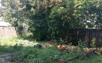 Photo of Joseph J.'s yard after getting landscaping in Rescue, VA