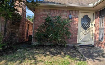 Photo of Kathy H.'s yard after getting landscaping in Allen, TX