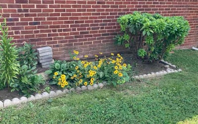 Photo of Shari J.'s yard after getting tree care in Fort Washington, MD