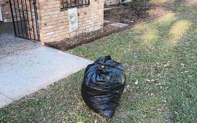 Photo of Ursula B.'s yard after getting landscaping in Simonton, TX