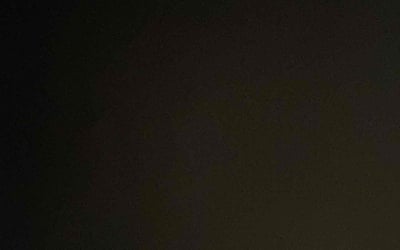 Photo of Linda G.'s yard after getting tree care in Avondale, AZ