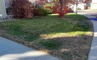 Photo of Angela M.'s yard after getting landscaping in Simla, CO