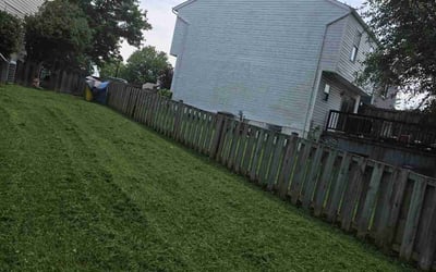 Photo of Kashif R.'s yard after getting tree care in Pasadena, MD