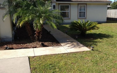 Photo of Franklin W.'s yard after getting landscaping in Saint Augustine, FL
