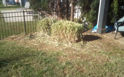 Photo of Craig R.'s yard after getting landscaping in Emerald Isle, NC