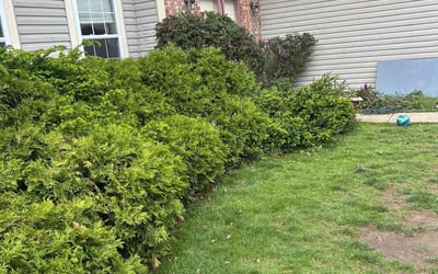 Photo of Valerie S.'s yard after getting landscaping in Croton, OH