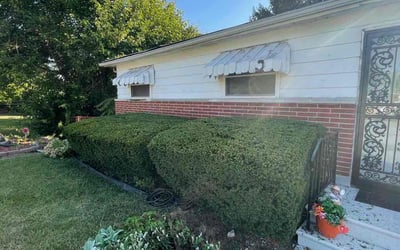 Photo of Regina C.'s yard after getting landscaping in Clayton, IN