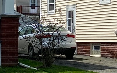 Photo of Laura W.'s yard after getting landscaping in Burton, OH