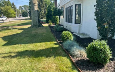 Photo of Tracey T.'s yard after getting tree care in Willoughby, OH