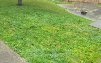 Photo of Jodi W.'s yard after getting landscaping in Baring, WA