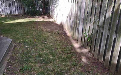 Photo of Rebecca F.'s yard after getting landscaping in Iberia, OH