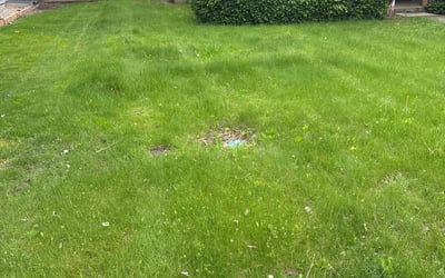 Photo of Sharon P.'s yard after getting landscaping in Boise, ID