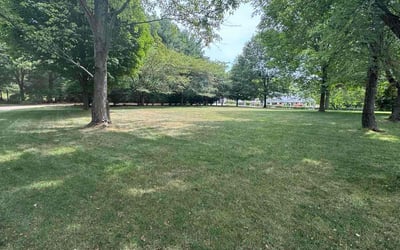 Photo of George B.'s yard after getting lawn care in Glenshaw, PA